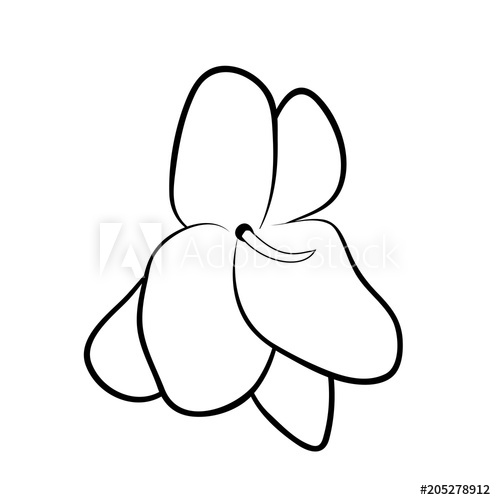 496x500 Vector Illustration, Isolated Violet Flower In Black And White