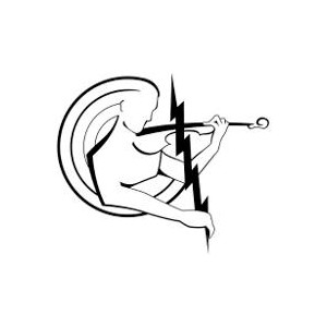 300x300 Faqs Electric Violin Shop