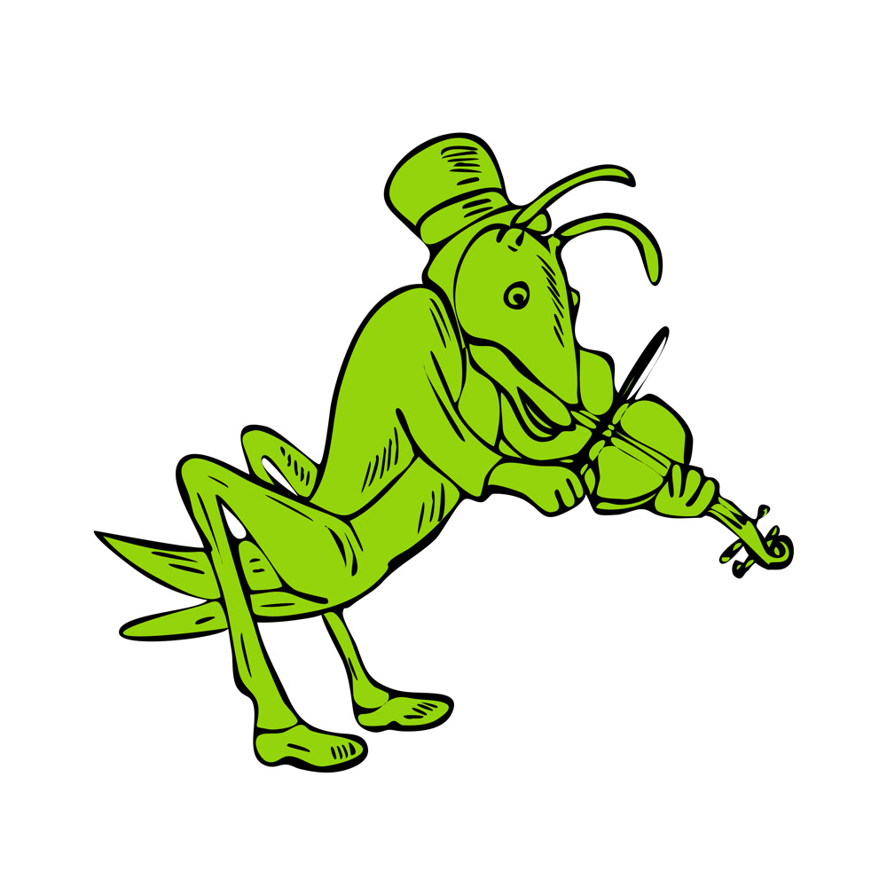 1000x1000 Grasshopper Fiddler Drawing On Behance