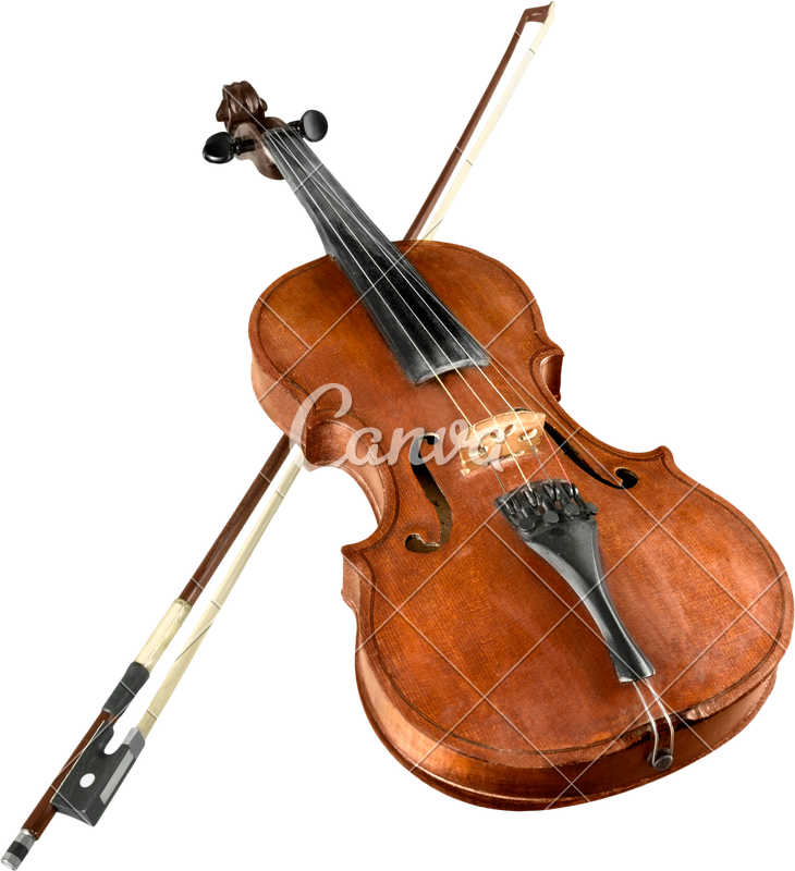 730x800 Collection Of Free Violin Drawing Color Pencil Download On Ui Ex