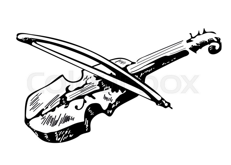 800x573 Violin Sketch Isolated On A White Stock Vector Colourbox