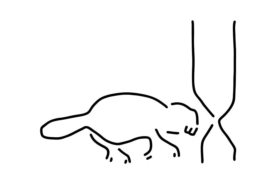 900x635 beavers build tree viper drawing