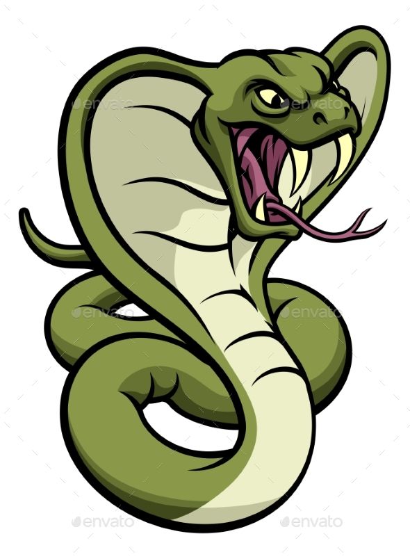 590x804 Cobra Snake Viper Mascot Cricut In Cobra Snake, Snake