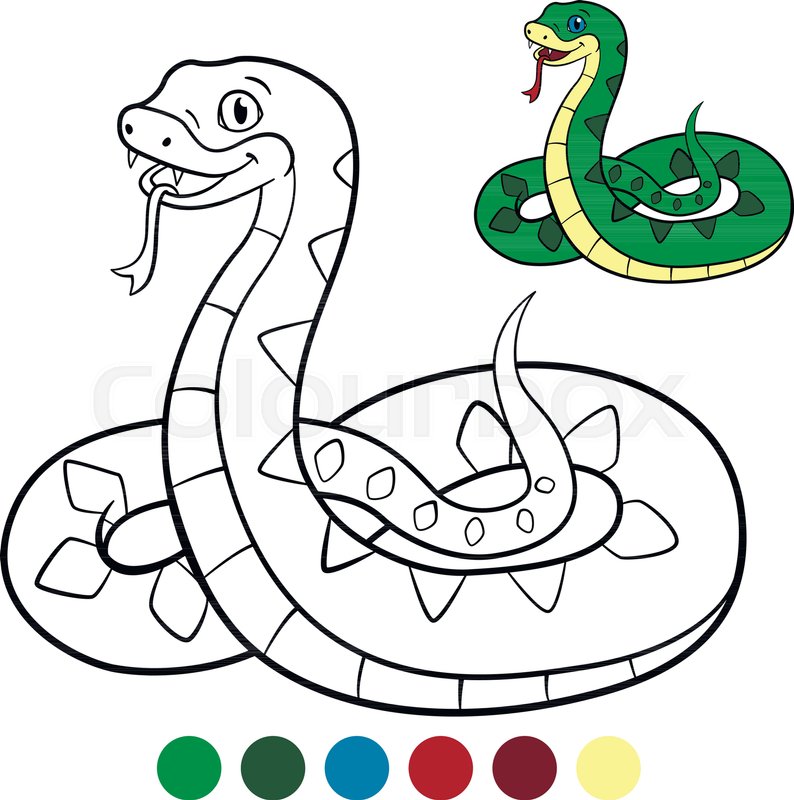 794x800 color me viper little cute viper stock vector colourbox