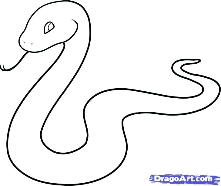 729x613 How To Draw Snakes Step