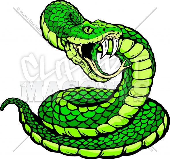 590x551 Image Result For Viper Snake Head Drawing Tatoos Drawings