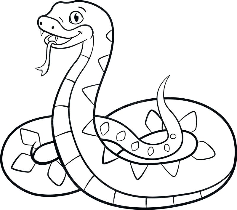 800x709 Viper Coloring Pages Bunny Face Coloring Pages Coloring Sheets