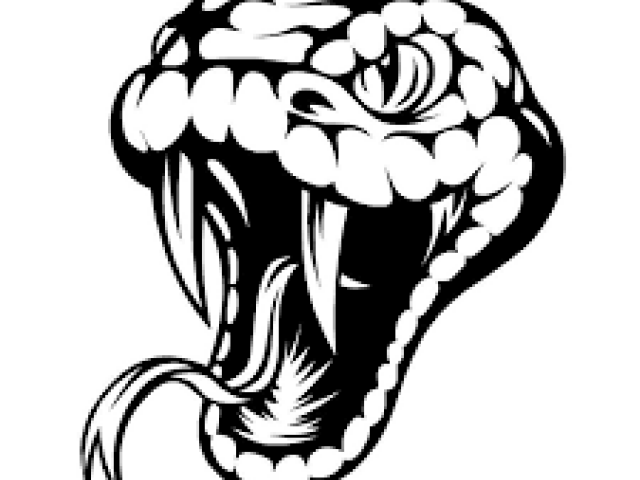 640x480 Viper Head Drawing