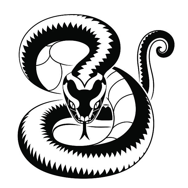 612x612 Viper Drawing Copperhead Snake For Free Download