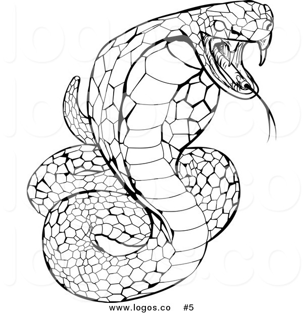 600x620 Viper Drawing Creepy For Free Download