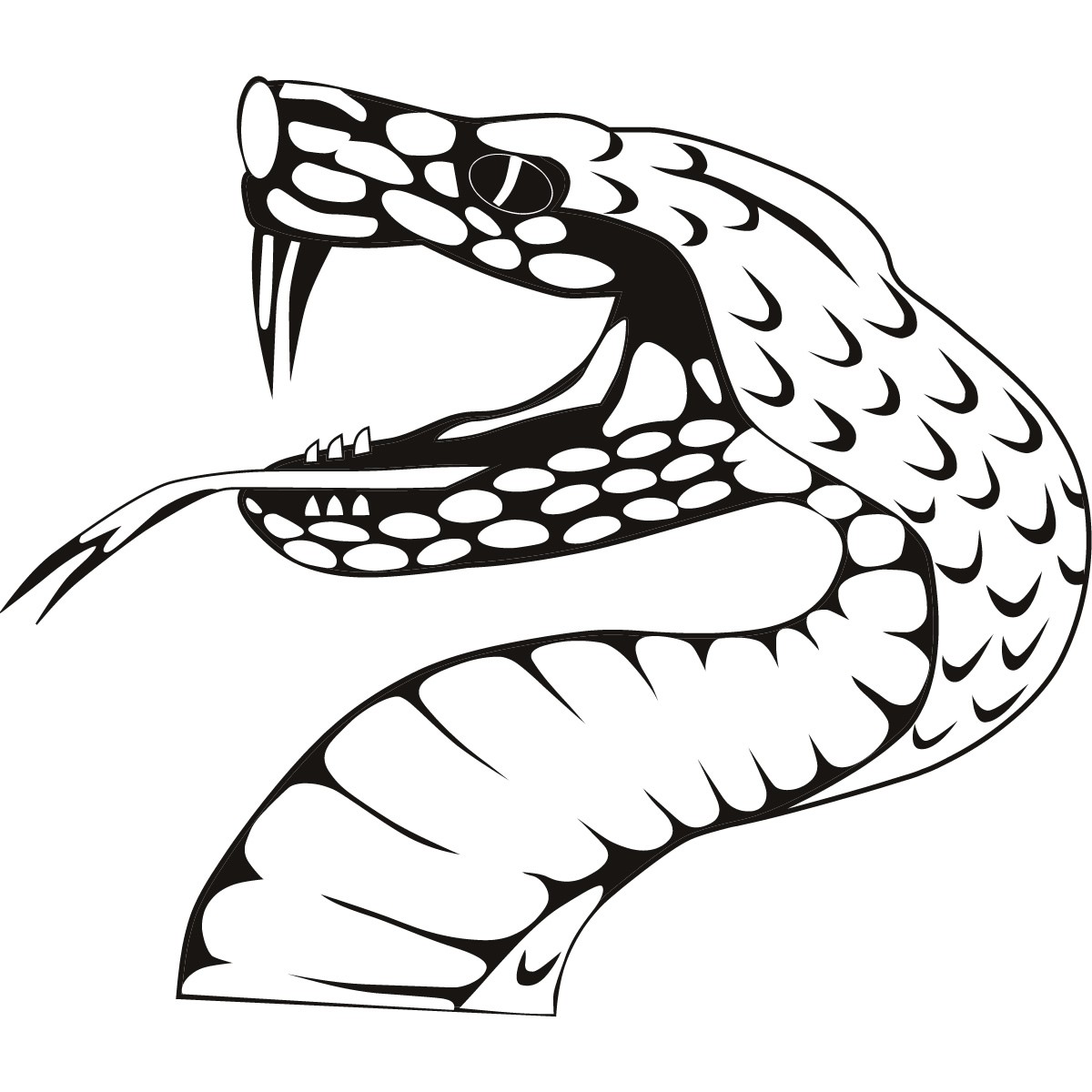 Viper Snake Drawing | Free download on ClipArtMag