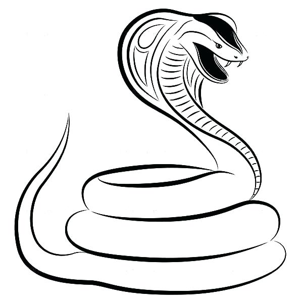 600x600 Snake Colouring Pictures To Print Snakes Colouring Pages Snake