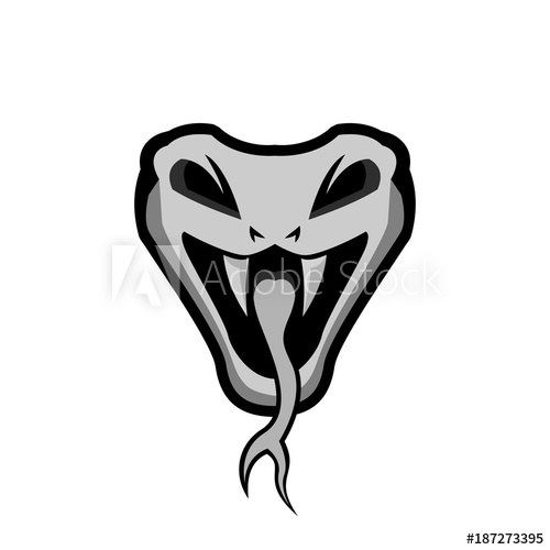 500x500 Viper Head Vector Illustration