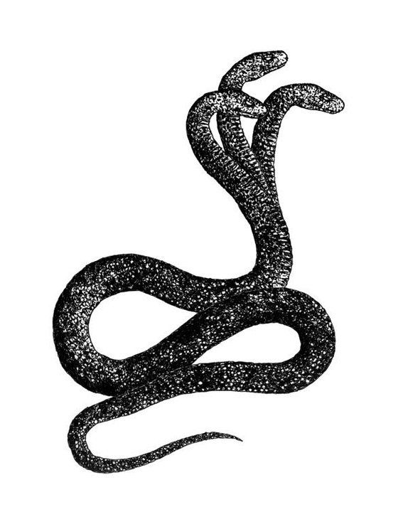 574x720 Viper Drawing Two Headed Snake For Free Download