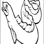150x150 Eel Coloring Pages Viperfish Crayon