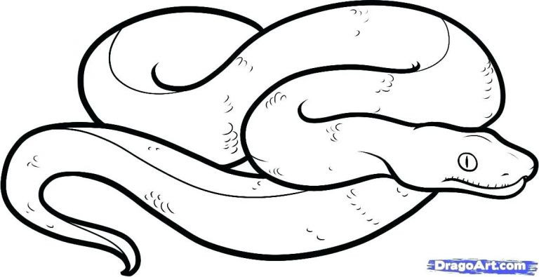 768x395 Inspirational Viper Fish Coloring Pages