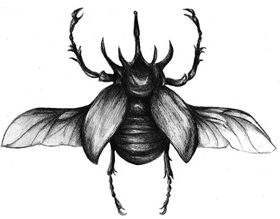 404x316 Natural Illustrations On Behance