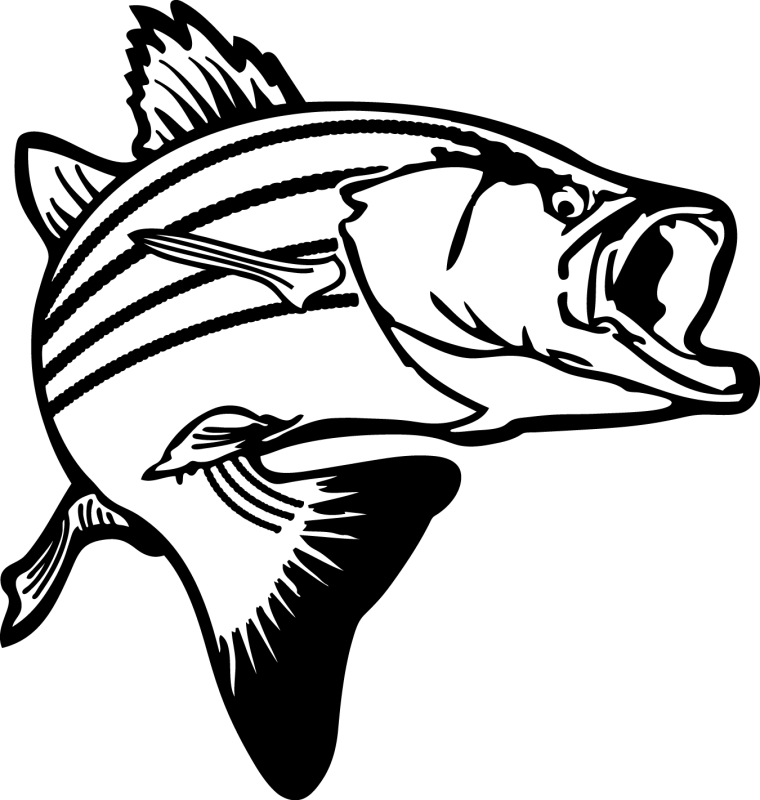 760x800 Viperfish Clipart Baby