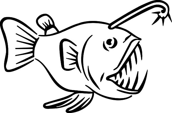 600x394 Anglerfish Clipart Viperfish