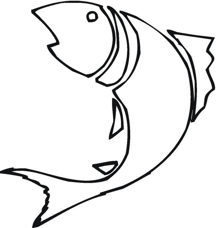 736x778 Aquarium Drawing Free Download