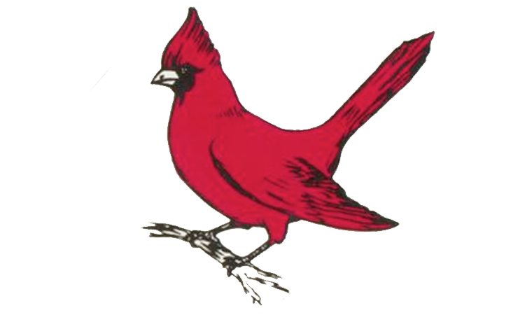 750x450 Collection Of Free Cardinal Drawing Face Download On Ui Ex