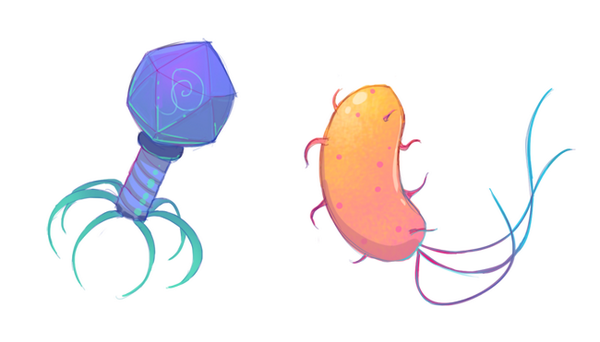 600x342 Mei Li Nieuwland Tcaf On Twitter Jetlagged Can't Sleep