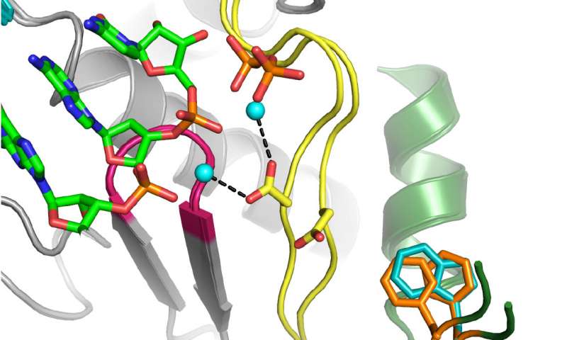 800x480 Biochemists Feed 'poison Pill' To Deadly Virus With A Funny Name
