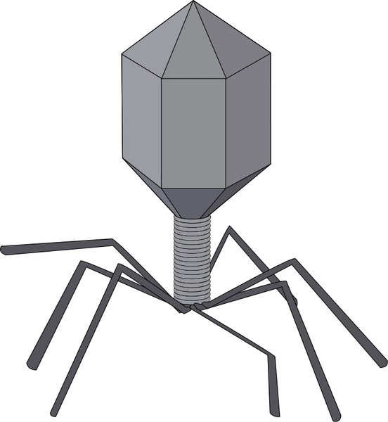 552x600 Virus Free Vector In Open Office Drawing