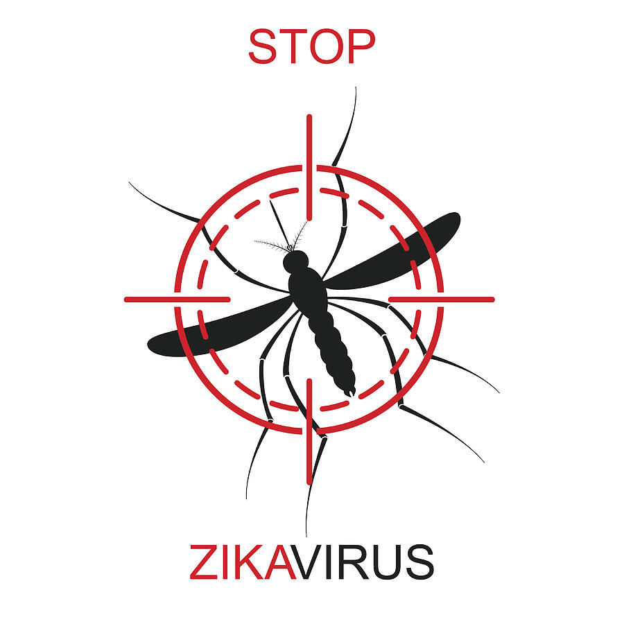 900x900 zika mosquito vector virus alert aedes aegypti isolated on white