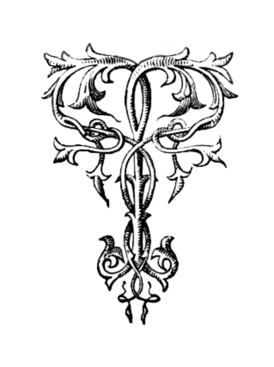 561x750 Victorian Era Ornament Floral Design Visual Arts Drawing Cc0