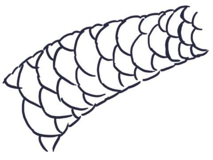 728x546 visual arts humanities