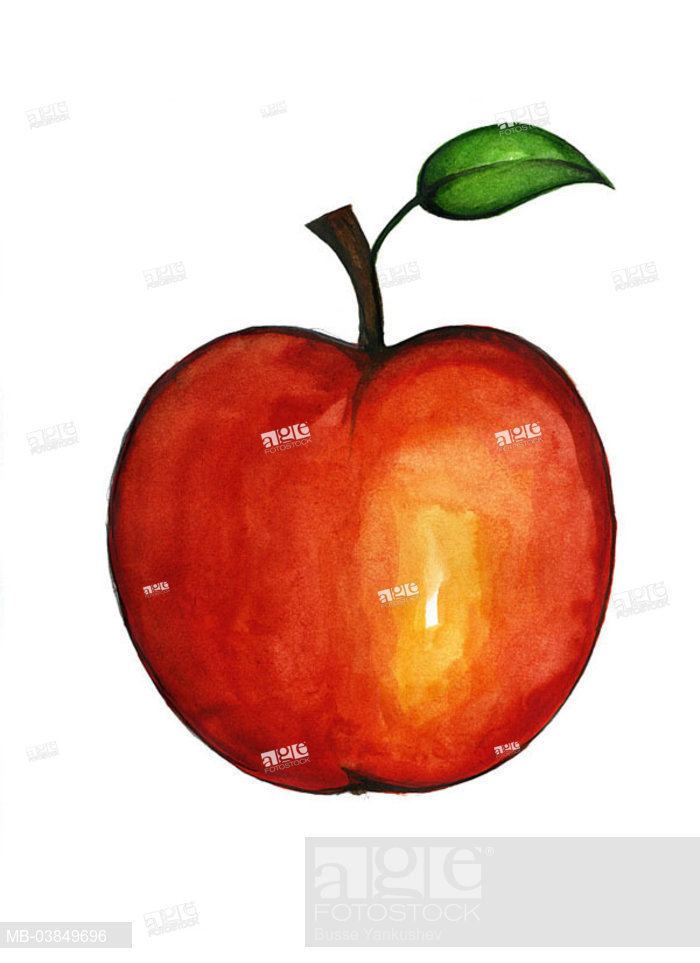 700x963 Illustration, Apple, Graphics, Drawing, Watercolor, Fruit, Kernel