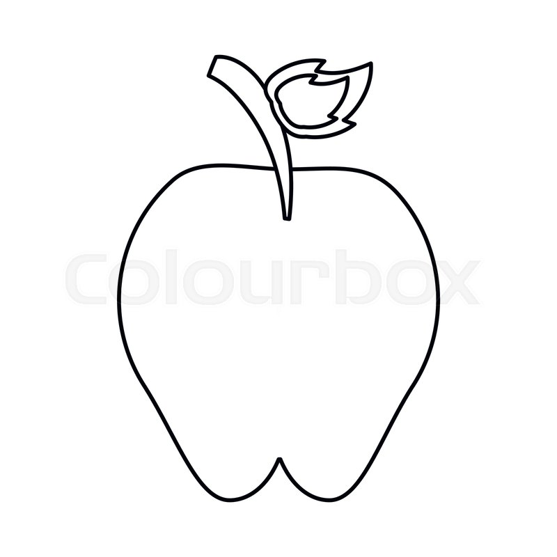 800x800 sweet red apple vitamin nature outline stock vector colourbox