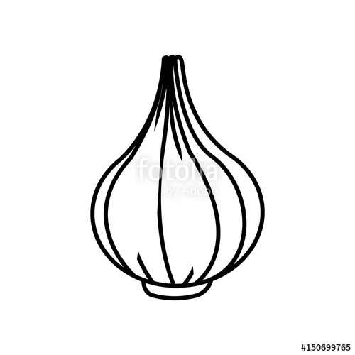 500x500 Onion Vegetable Nutrition Vitamin Food Line Vector Illustration