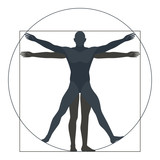 160x160 Vitruvian Man Drawing Vector Stock Image And Royalty Free Vector
