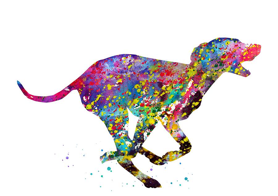 900x636 hungarian vizsla colorful digital art