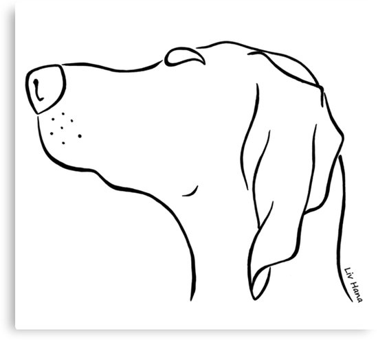 550x495 Magyar Vizsla Silhouette Outline Canvas Print