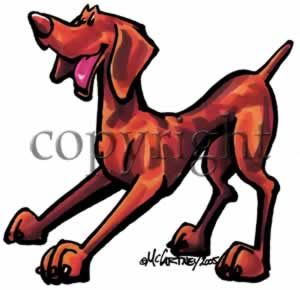 300x290 Vizsla Cool Dog Dog Themed Clothes Dogs, Vizsla, Best Dogs