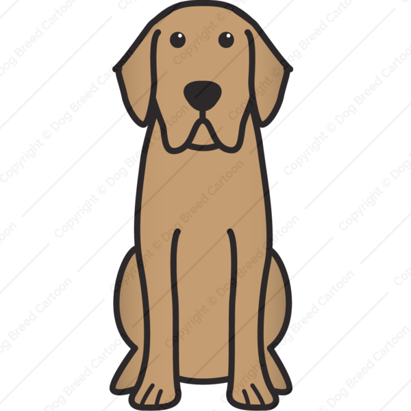 600x600 Collection Of Free Labrador Drawing Cartoon Download On Ui Ex