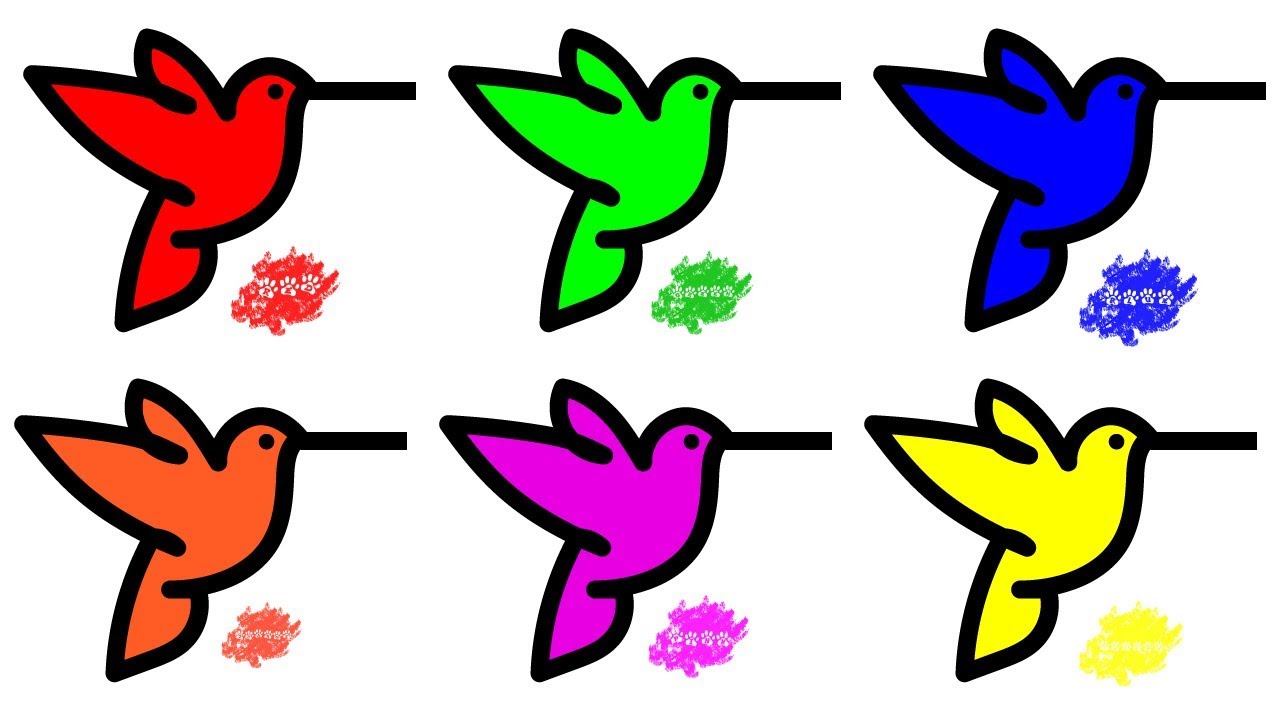 1280x720 Drawing Birds And Learn Colors