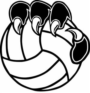 300x310 Volleyball