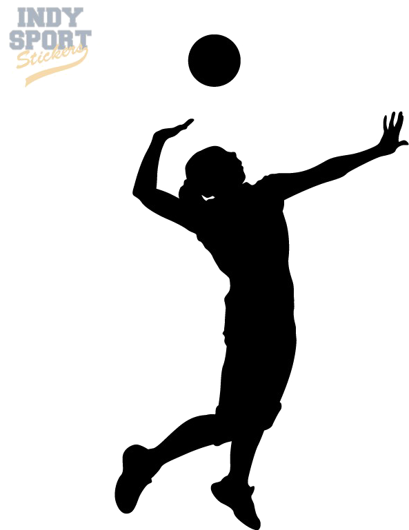593x769 Volleyball Silhouette Transparent Png Clipart Free Download