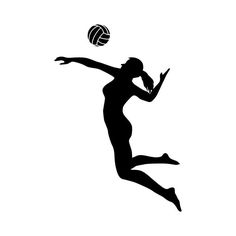 236x236 Collection Of Free Women Clipart Volleyball Bean Clipart Coffee