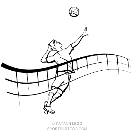 450x450 male volleyball player spiking in front of flowing net my room