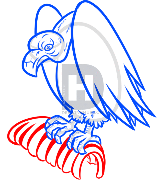 657x720 How To Draw A Vulture, Step