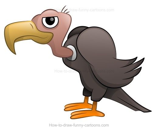 520x433 how to draw a cartoon vulture birds, owls cartoon vulture