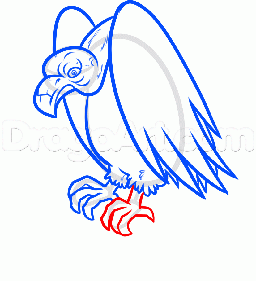 828x907 How To Draw A Vulture, Step