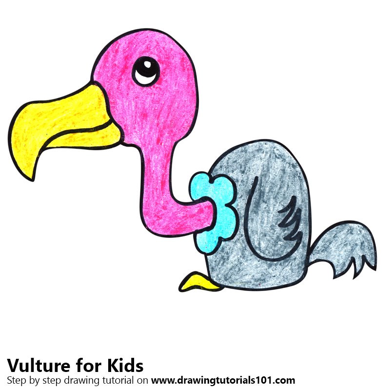 800x800 Learn How To Draw A Vulture For Kids