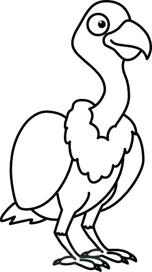 307x550 Vulture Coloring