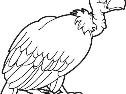 440x330 vulture coloring pages, perched turkey vulture coloring